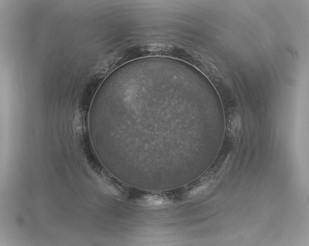 X0000116490272200912091426