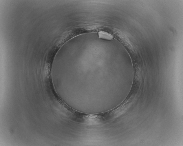 X0000116490273200912091426