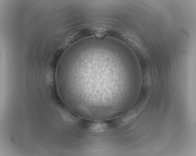 X0000116490274200912091426