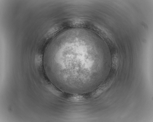 X0000116490278200912091427