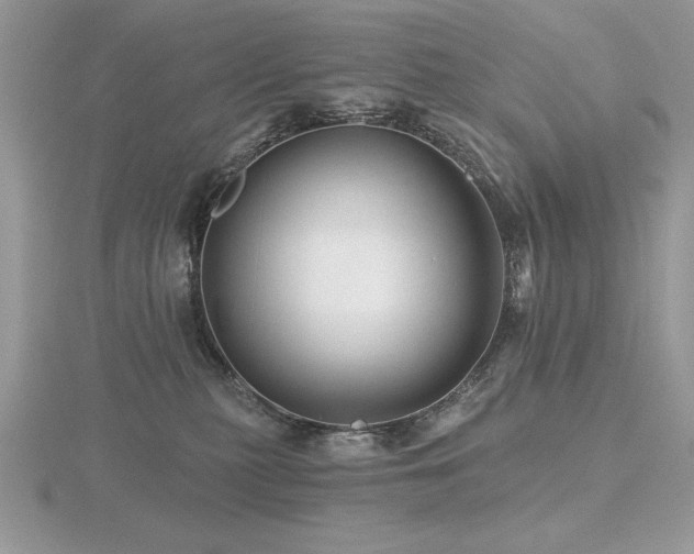 X0000116490279200912091427