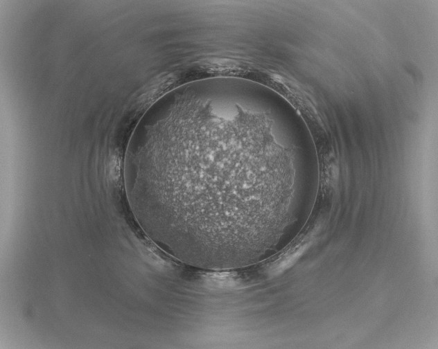 X0000116490281200912091427