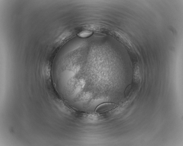 X0000116490282200912091427