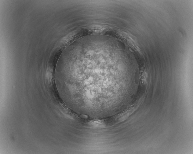 X0000116490283200912091427