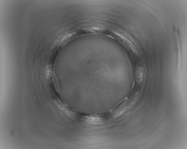 X0000116490284200912091427