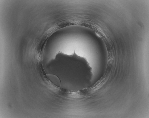 X0000116490285200912091427