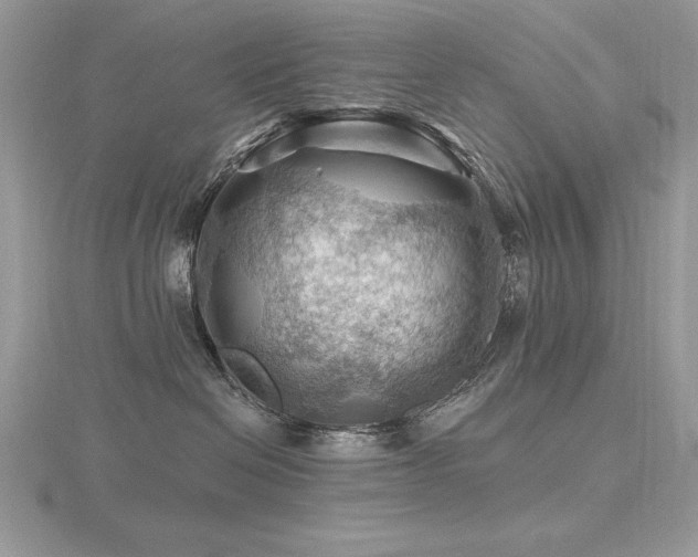 X0000116490286200912091427