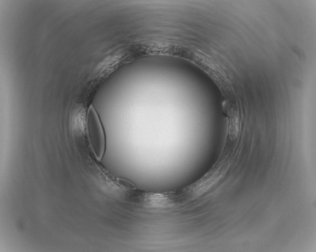 X0000116490287200912091427