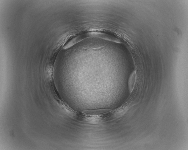 X0000116490288200912091427