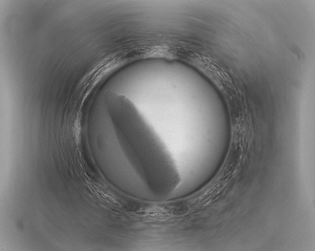 X0000116490290200912091426