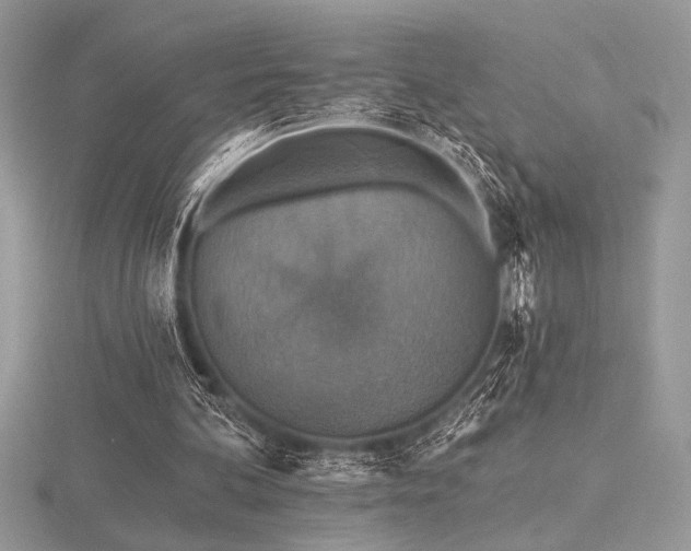 X0000116490292200912091426