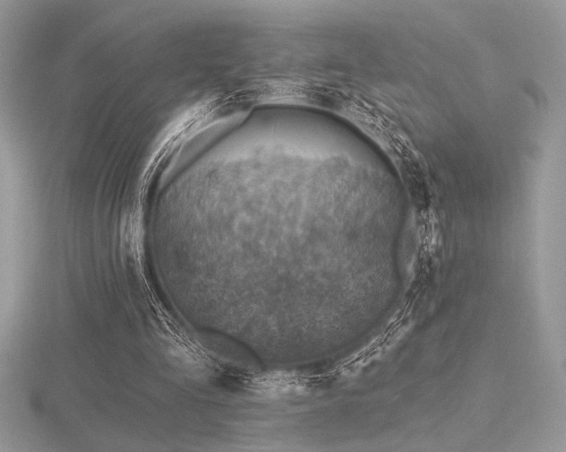 X0000116490293200912091426