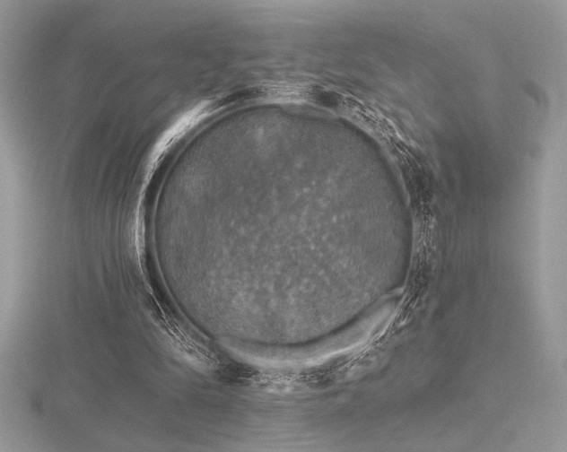 X0000116490294200912091426