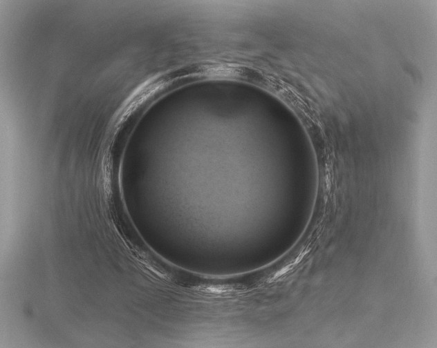 X0000116490295200912091426