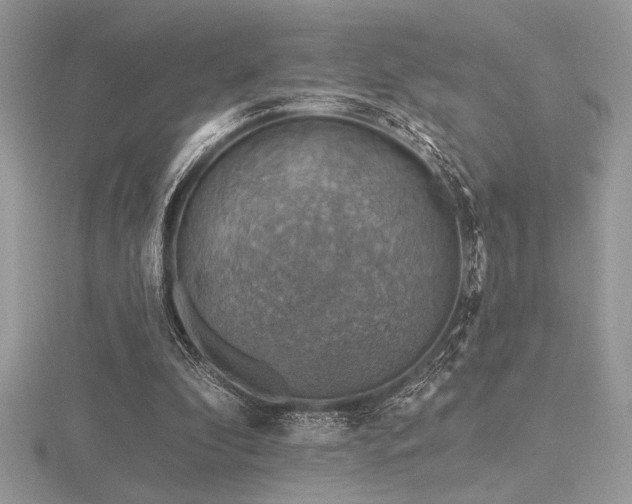 X0000116490296200912091426