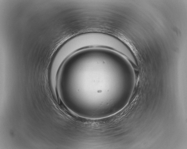 X0000116490297200912091426