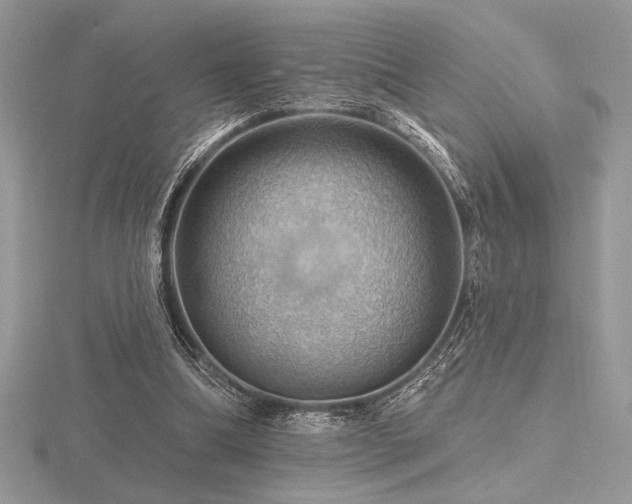 X0000116490298200912091426