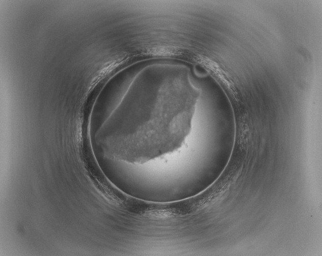 X0000116490299200912091426