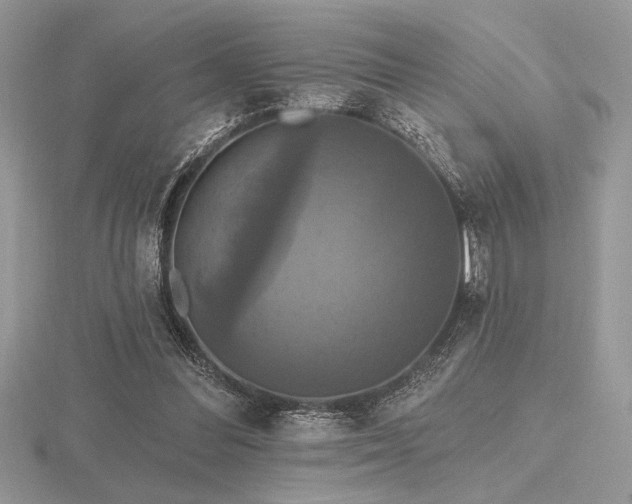 X0000116490300200912091426