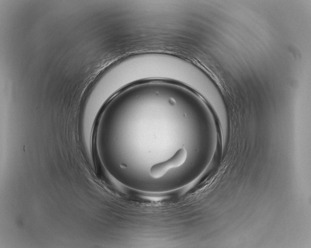 X0000116490301200912091426