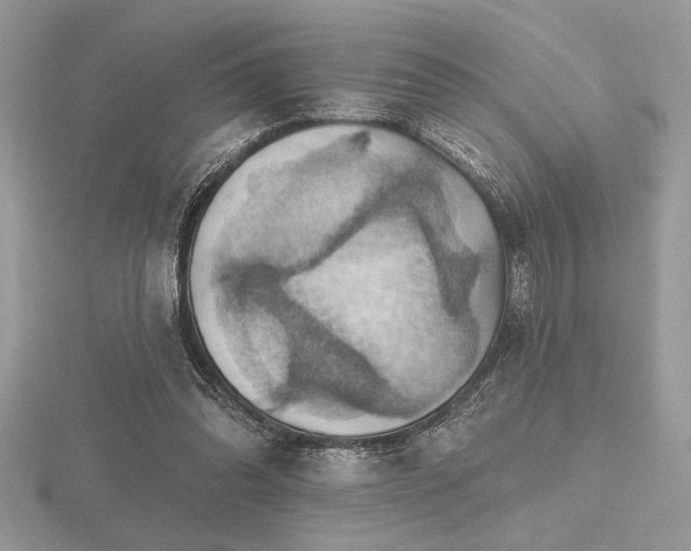 X0000116490302200912091426