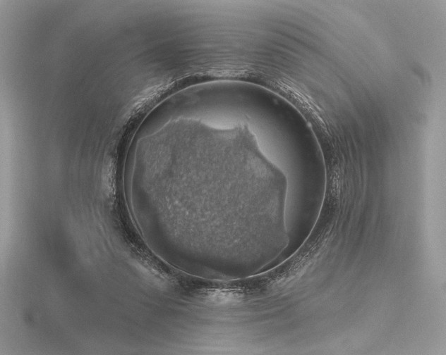 X0000116490303200912091426