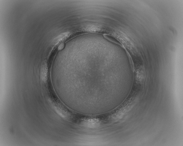 X0000116490304200912091426