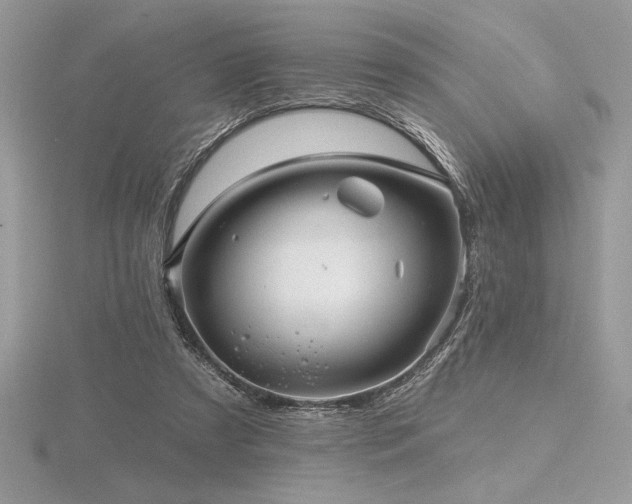 X0000116490305200912091426