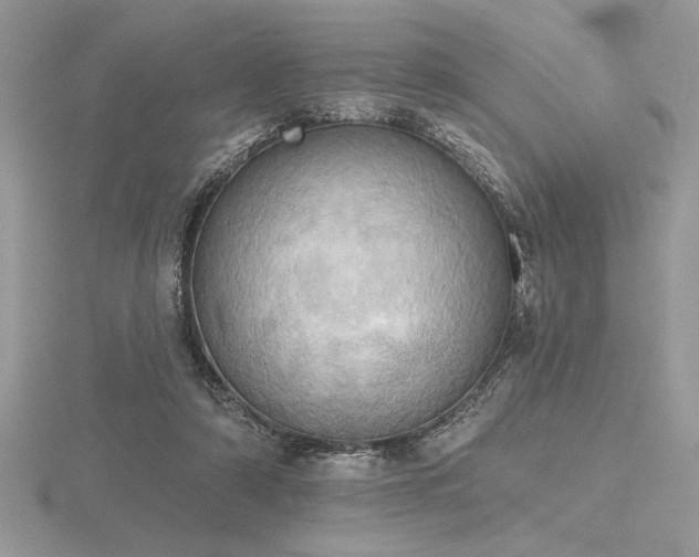 X0000116490306200912091426