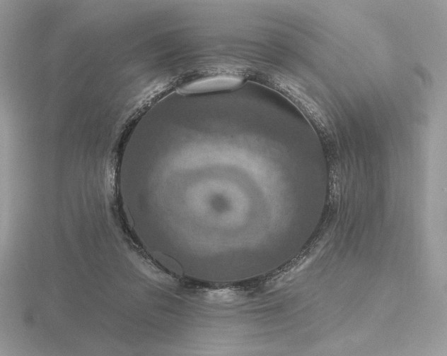 X0000116490309200912091426