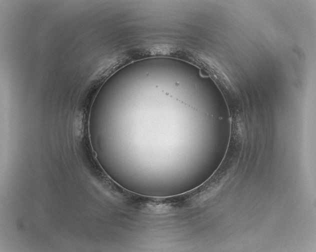 X0000116490311200912091426