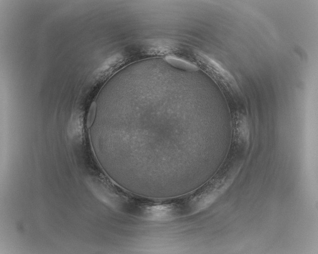 X0000116490312200912091426