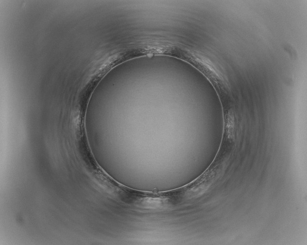 X0000116490314200912091426