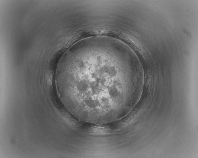 X0000116490315200912091426