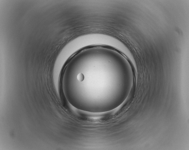 X0000116490316200912091426