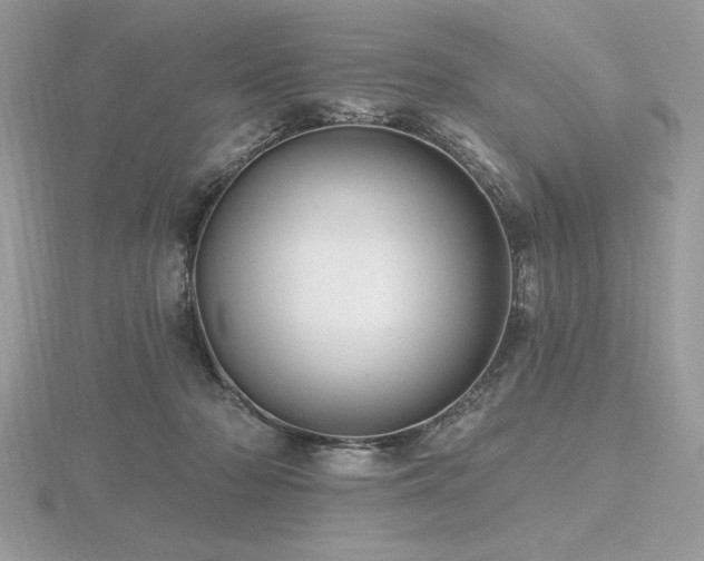 X0000116490318200912091426