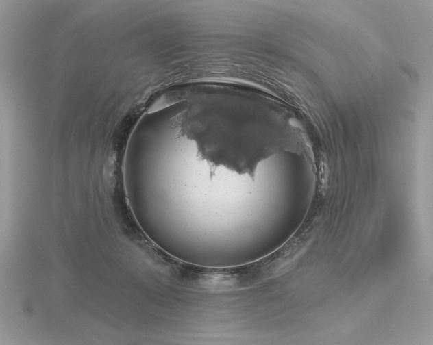 X0000116490319200912091426