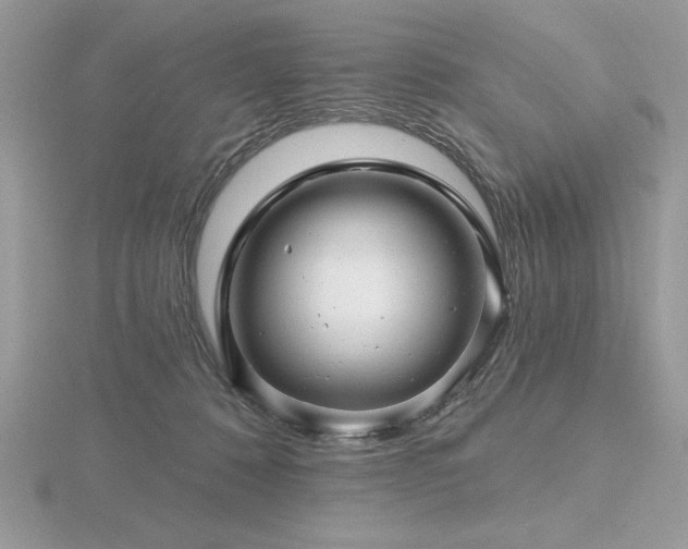 X0000116490320200912091426