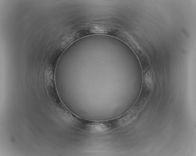 X0000116490322200912091426