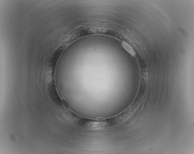 X0000116490323200912091426