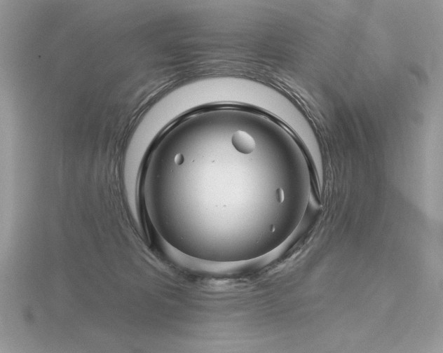 X0000116490325200912091426