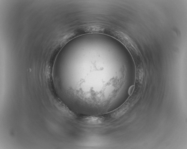 X0000116490326200912091426