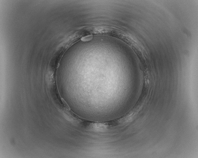 X0000116490327200912091426