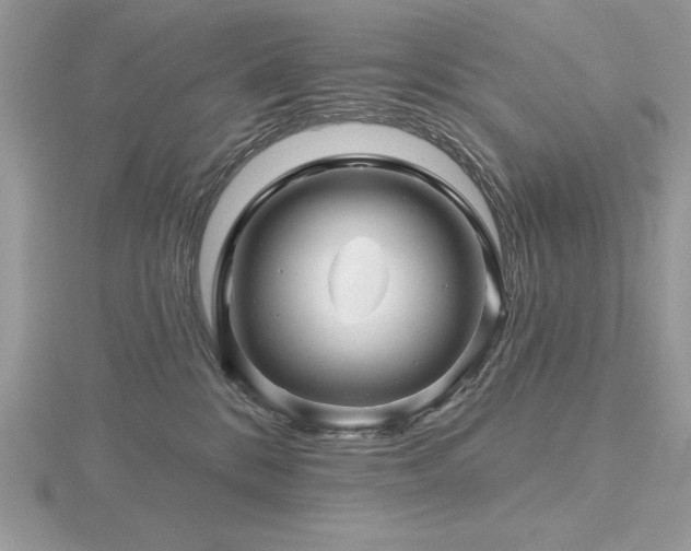 X0000116490328200912091426