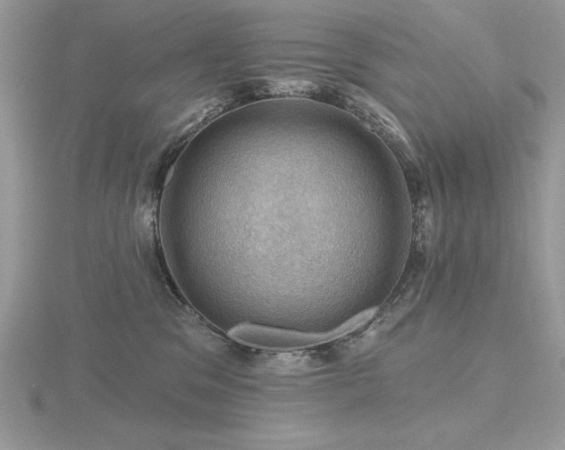 X0000116490329200912091426