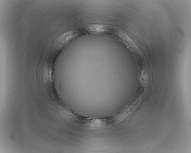 X0000116490330200912091426