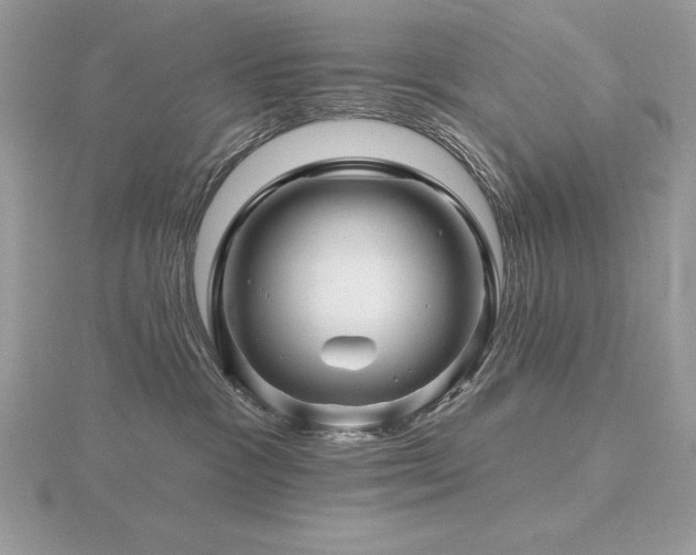 X0000116490333200912091425