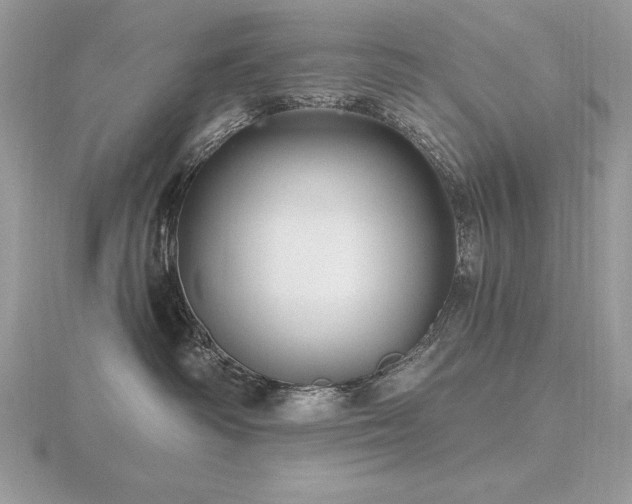 X0000116490334200912091425