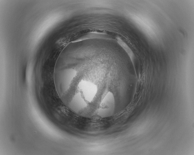 X0000116490335200912091425