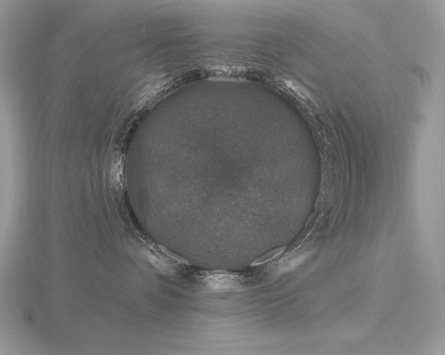 X0000116490336200912091425